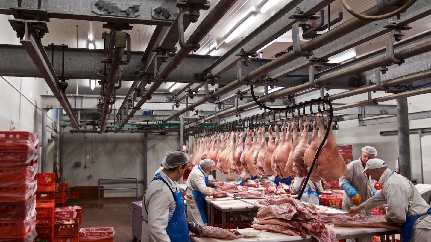 MEAT PACKER NORDSVIT