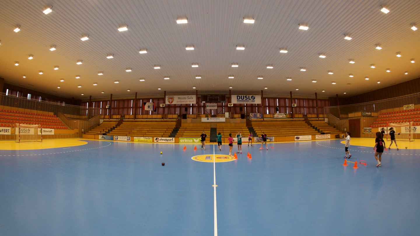 Mesto Šaľa